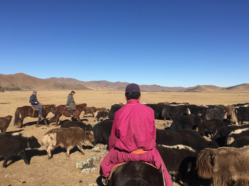 Chez les nomades dans la vallée d’Orkhon
