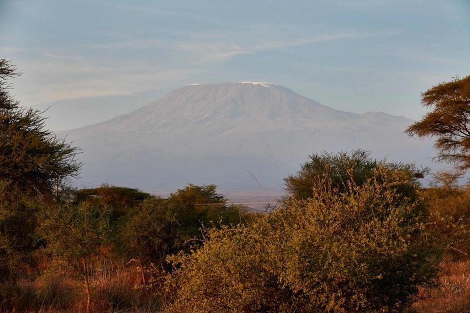 Le parc d’Amboseli, au pied du Kilimandjaro